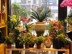 -杭州街角花屋花店(闻堰店)