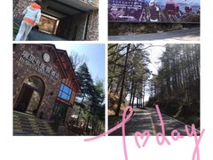 -洛阳白云山景区