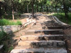 -北京鹫峰国家森林公园
