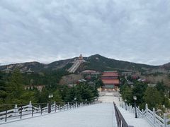 -龙口南山旅游景区