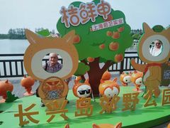 -上海长兴岛郊野公园