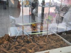 -震九州熟食(凯旋路店)