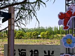-嘉北郊野公园