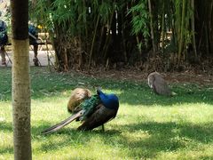 -昆明动物园