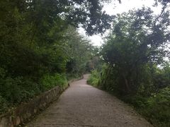-紫金山山顶公园