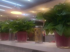 -二子海鲜大排档(太阳城店)