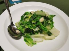 -老吉堂上海本帮菜(望京万象汇店)