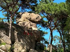 -崂山仰口游览区
