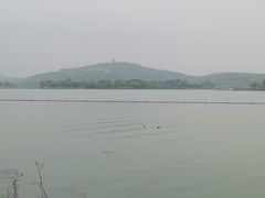 -渤公岛生态公园