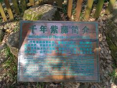 -玉女潭景区