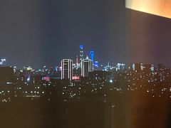 -上海浦东康桥绿地假日酒店