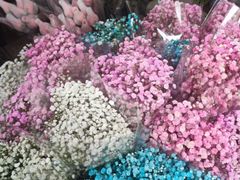 -循礼门鲜花花市(武汉循礼门店)