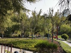 -郑和公园