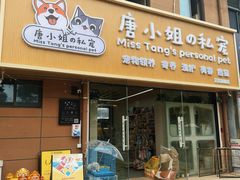 -唐小姐の私宠·宠物洗护美容·撸猫馆·购宠(周浦万达旗舰店)