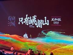 -乐山长药老地方油炸串串(峨眉四中店)