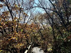 -帽儿山国家森林公园