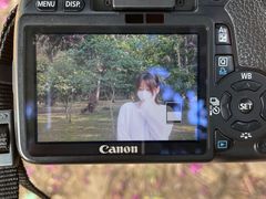 -南宁良凤江国家森林公园