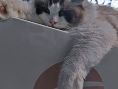 -零纪元VR体验馆·桌游(黄浦店)