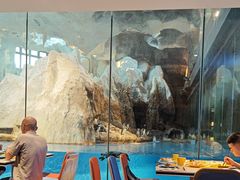 -帝企鹅自助餐厅•儿童岛•真企鹅(长隆企鹅酒店)