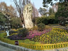 -习家池