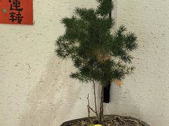 -南枝小馆(银鱼巷店)