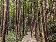 -山王坪喀斯特国家生态公园