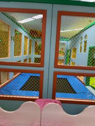 -孩子王童乐园(洛阳万达店)