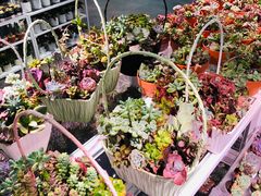 -KKV(深圳宏发大仟里店)