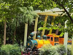 -合肥滨湖国家森林公园