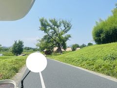 -良渚古城遗址公园