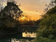 -西溪国家湿地公园