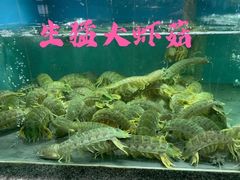 -欧记·龙城港(欣都店)