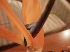 android_upload_pic-皇轩大饭店(观音桥店)