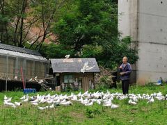 -山西通天峡景区