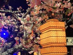 -绿茶餐厅(松江万达店)