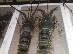 -蚝得喜海鲜(东城店)