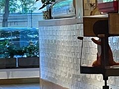 -BOCATA 西班牙餐厅(三里屯店)