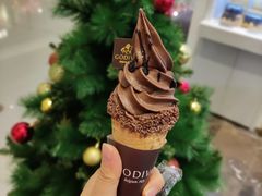 GODIVA双重巧克力冰淇淋-GODIVA(恒隆广场店)