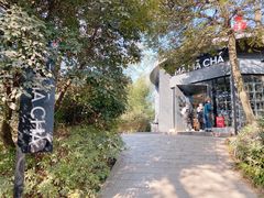 -MAMACHA妈妈茶(岳麓山店)