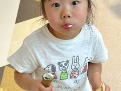 -富豪雪糕车流动点(尖沙咀)