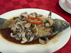 -先鲜鲫鱼粥