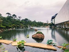 -罗红摄影艺术馆