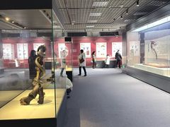 -国家自然博物馆