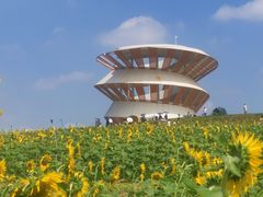 -光明小镇欢乐田园