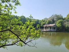 -太子山公园(园东路)