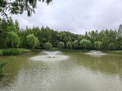 -黄兴公园