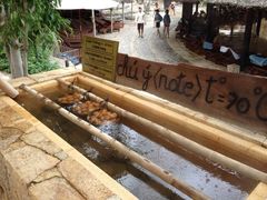 -100蛋泥浆浴