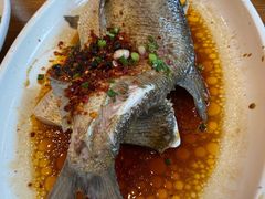 -饭怕鱼(阳光100店)