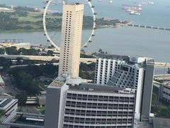 史丹福瑞士酒店-新加坡瑞士史丹福酒店