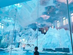 -帝企鹅自助餐厅•儿童岛•真企鹅(长隆企鹅酒店)